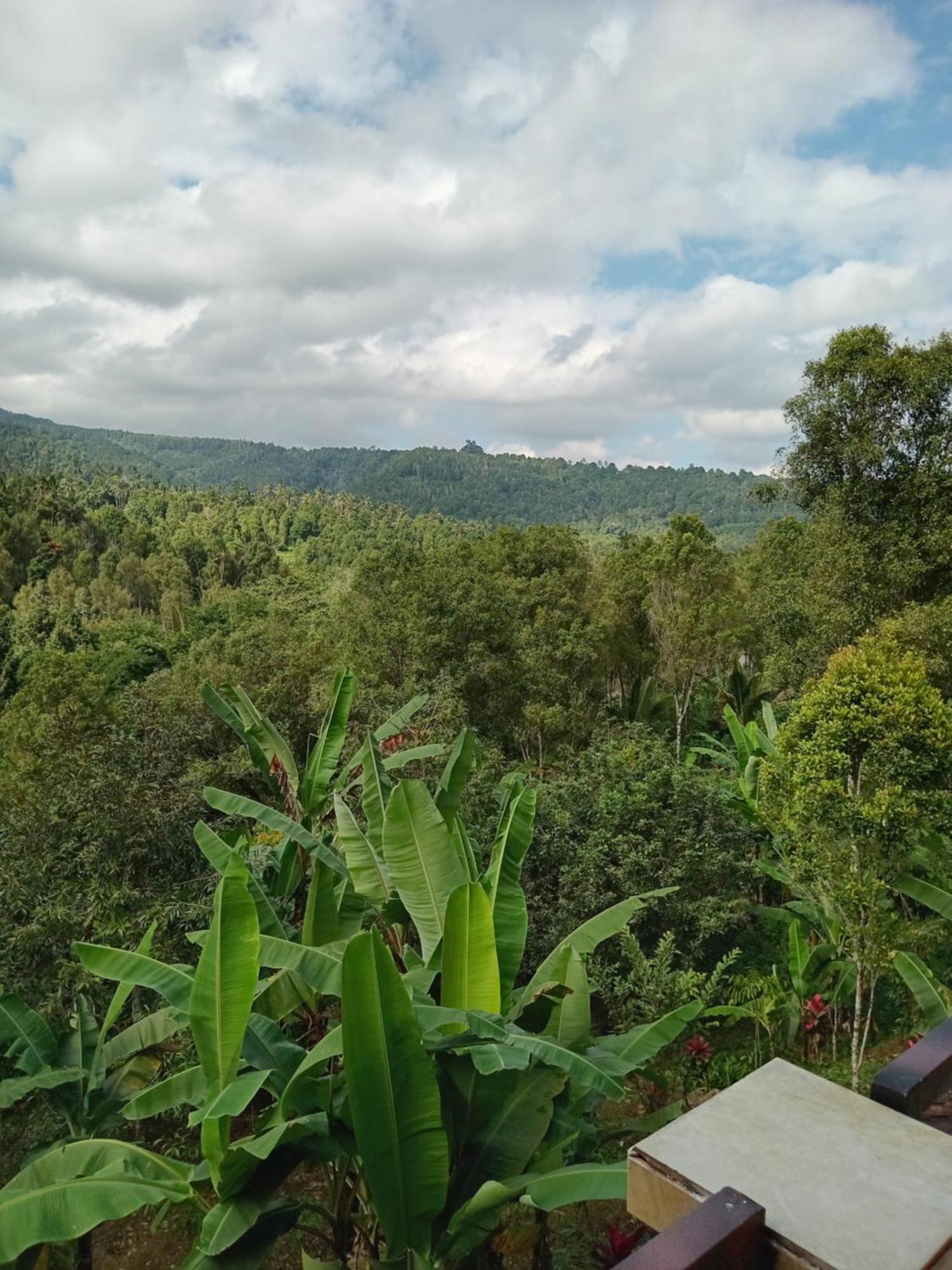 Kanaya Homestay & Warung Heaven Munduk Exteriér fotografie